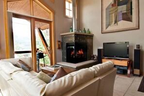 TV, fireplace, DVD player