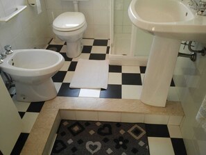 Shower, hair dryer, bidet, towels