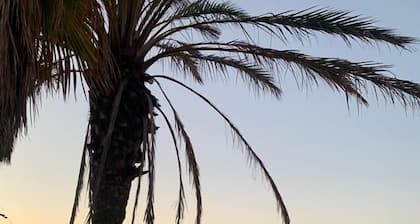 Vacation home from 2 to 14 people in Le lavandou