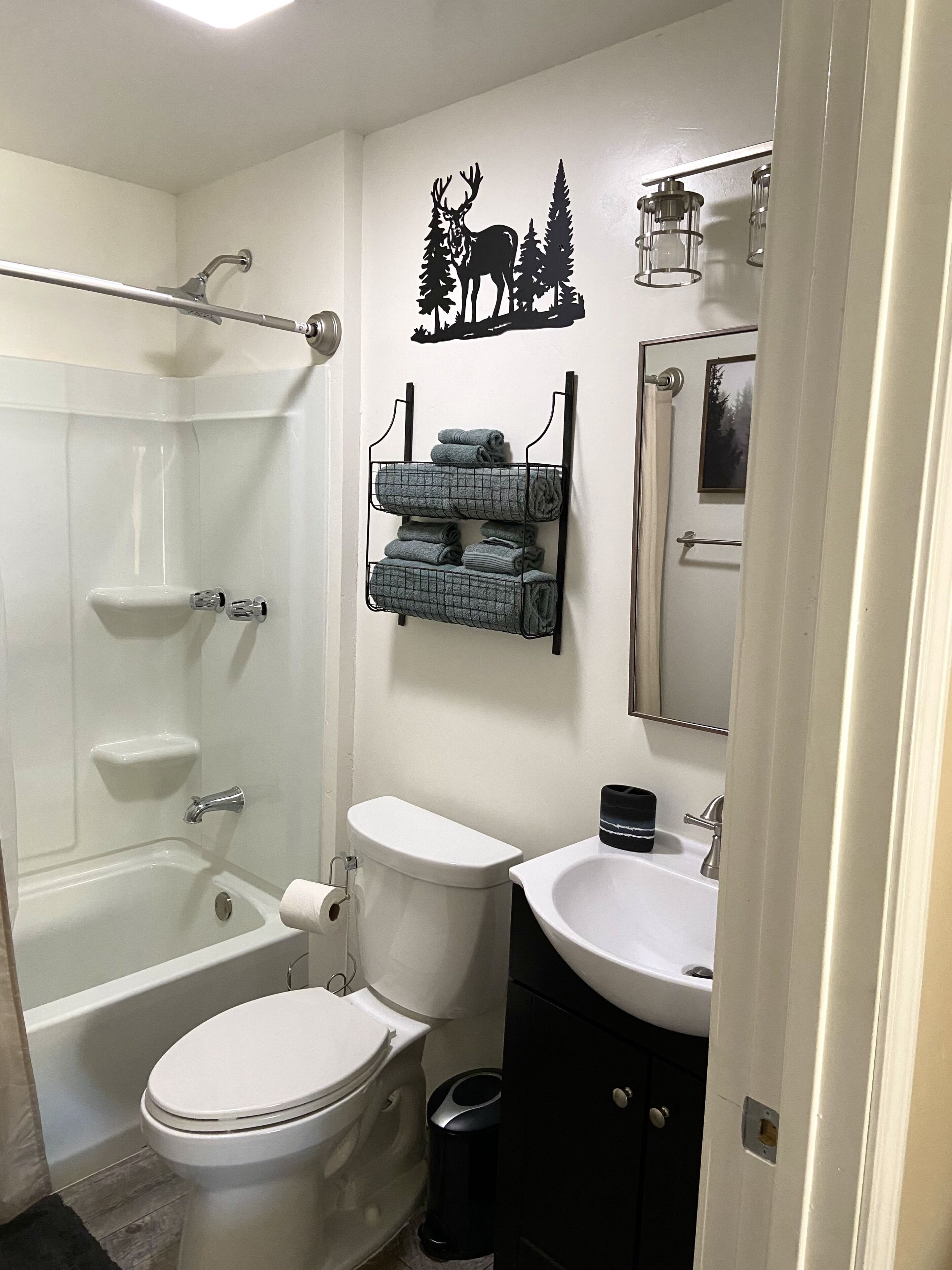 Combined shower/tub, hair dryer, towels, soap