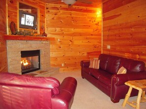 Smart TV, fireplace, video games, DVD player