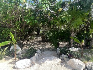Ein Gartenweg, umgeben von unterschiedlichen Pflanzen und Steinen.