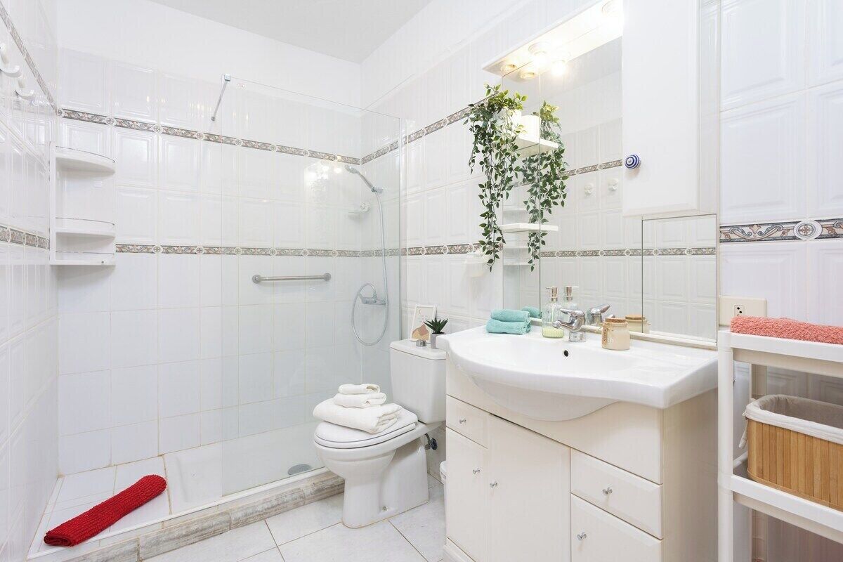 A bathroom with a glass shower enclosure, a white toilet, a sink with a mirror, and a plant hanging above the mirror.