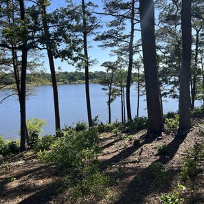 Property grounds - Wister Ridge Cottage - Sleeps 10 - 3 minutes from the lake!! (Wister)