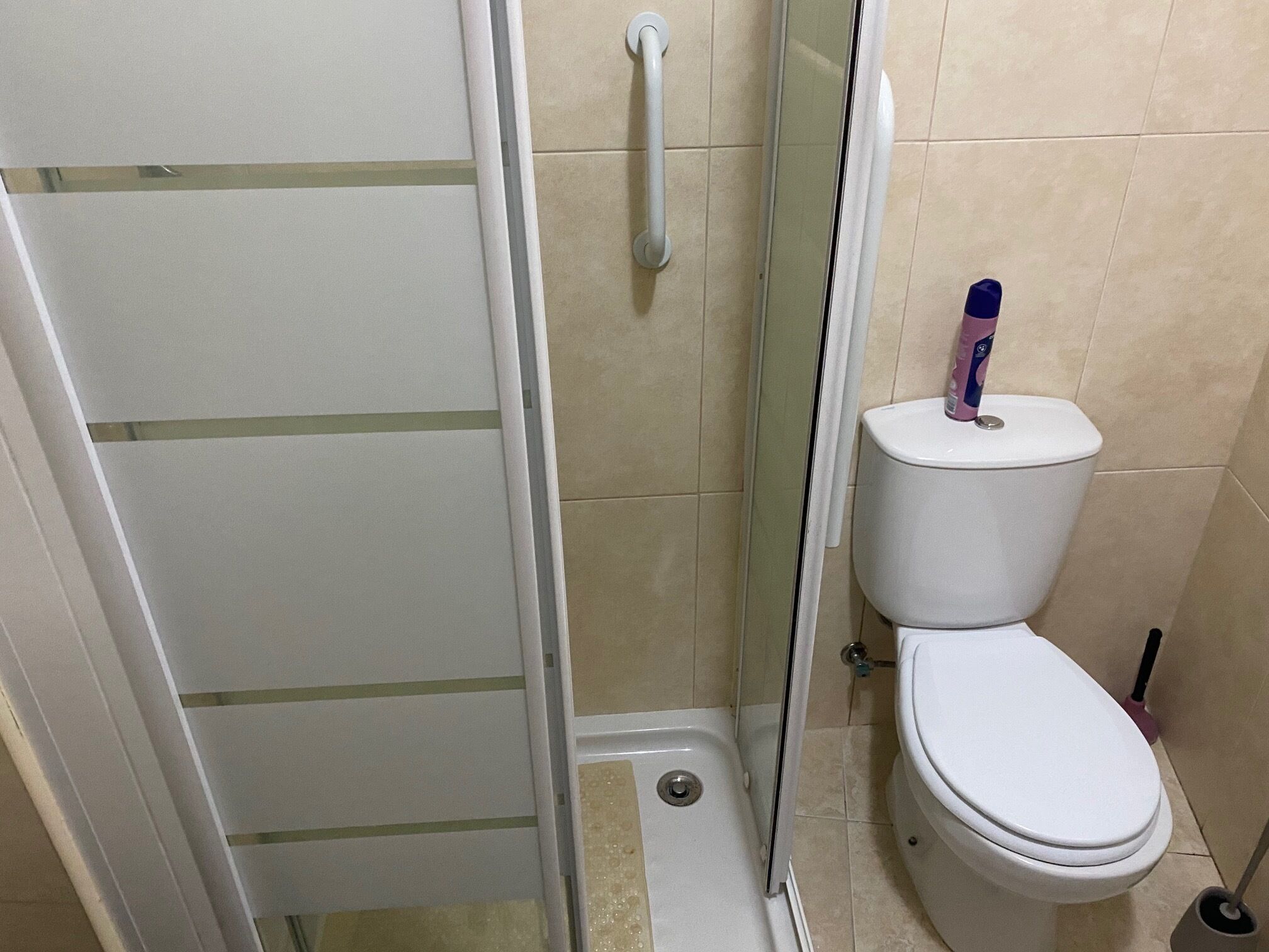 A bathroom with a glass shower enclosure, a white toilet, and a handrail.