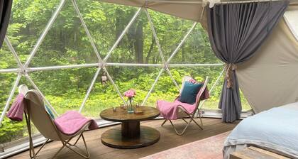 Unwind Under the Stars at The Stargazer Geodome: A Luxury Glamping Getaway in Almaguin Highlands