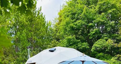 THE STARGAZER GEODOME: Shabby Chic & Very Private