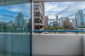 Minibar, desk, iron/ironing board, free WiFi - Apart Hotel Elite  (Santiago)