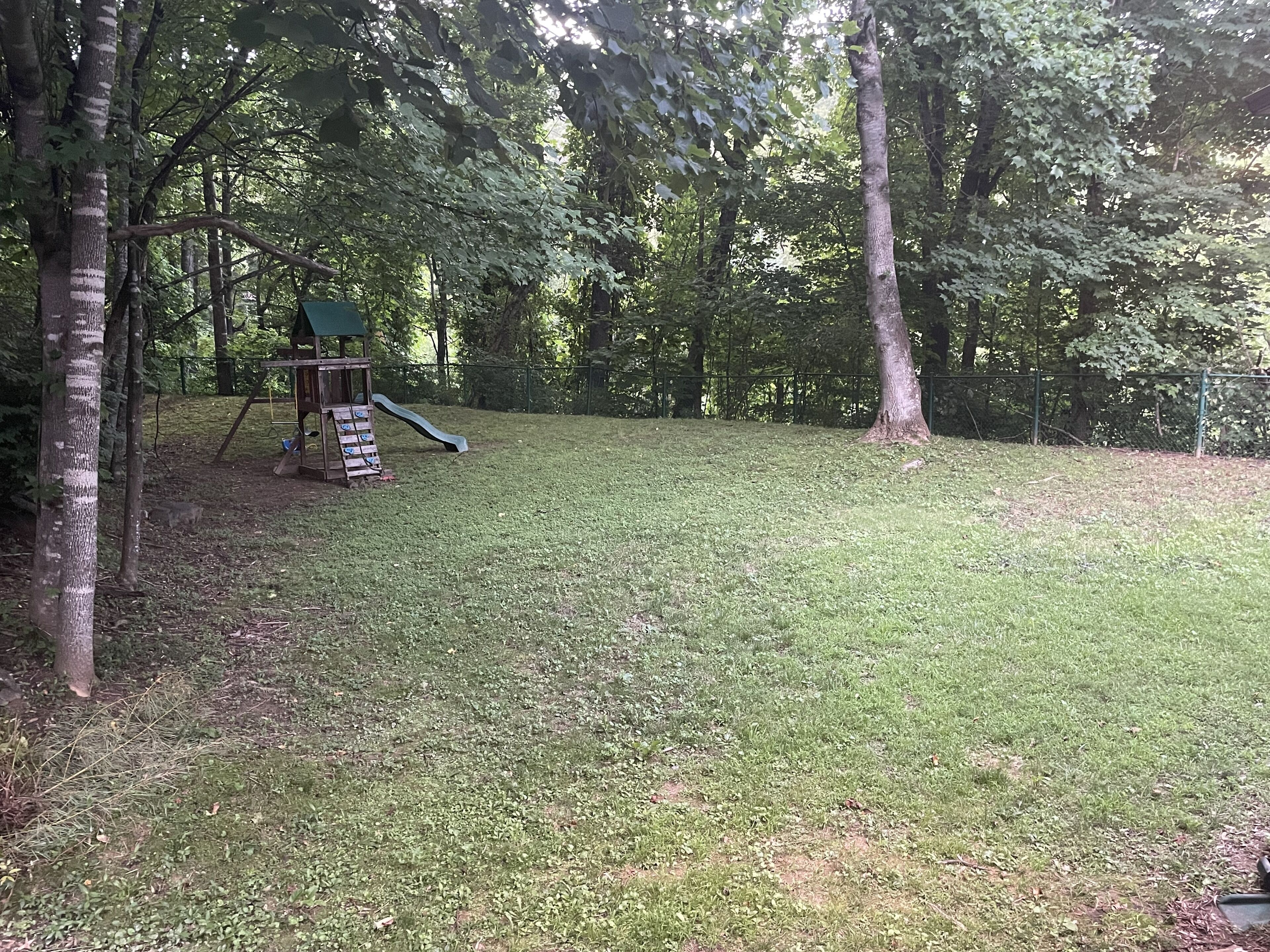 A grassy area with a playground structure including a slide.