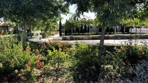 A landscaped garden with various trees and shrubs, including red flowering plants. - Global Vacacional: Front line beach townhouse with sea views (Sagunto)