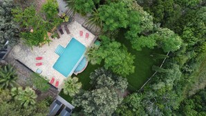 Vista aèria d'una zona de piscina envoltada de vegetació densa, amb un sortidor de pedra i seients de relaxació vermells.