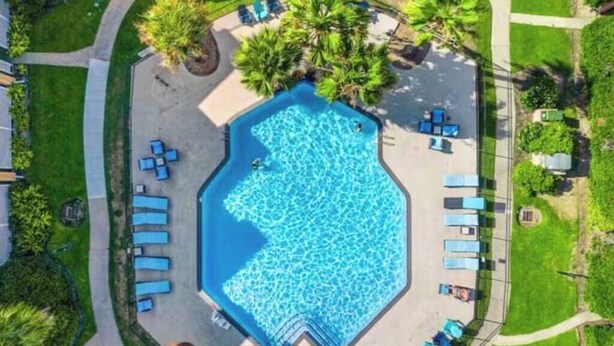 Ein achteckiger Swimmingpool, umgeben von Liegestühlen und Palmen.