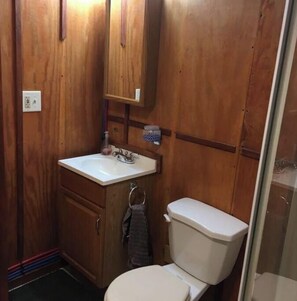 Combined shower/bathtub - EVL 2 BR Cozy APT w/ Retro Cabin feel on 7 acres (Ellicottville)