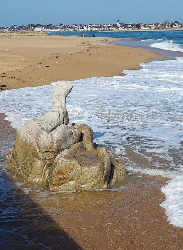 Beach - Entre Mer et Ria - PLOUHINEC (PLOUHINEC)