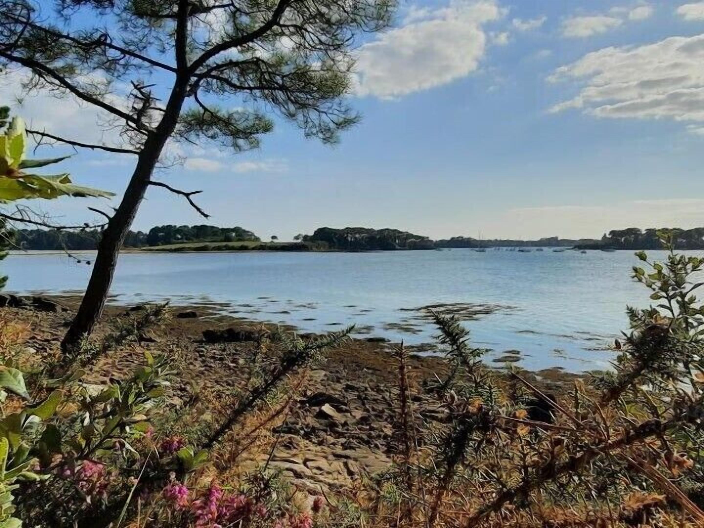 Accommodatie ligt op het strand