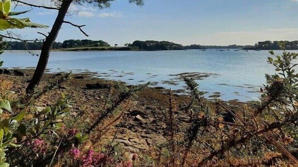 A lakeside view with a rocky shoreline, trees, and distant hills. - Steredeg - BADEN - Gîte (BADEN)