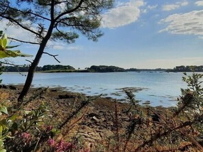 A lakeside view with a rocky shoreline, trees, and distant hills. - Steredeg - BADEN - Gîte (BADEN)