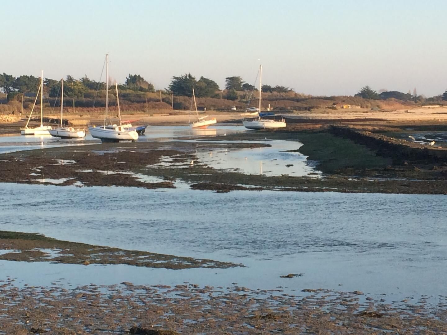 A coastal scene with boats anchored in shallow water, surrounded by a natural landscape.
