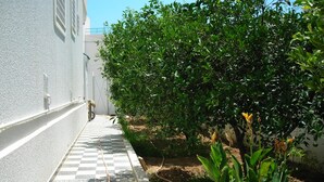 A narrow pathway with a checkered floor leading to a building with white walls and windows. - Charming house in a beautiful Monastirienne city (Monastir)