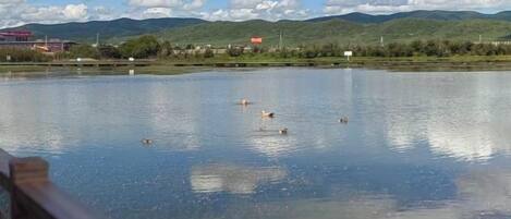 Un lac paisible, avec des montagnes en arrière-plan et une rambarde en bois au premier plan.