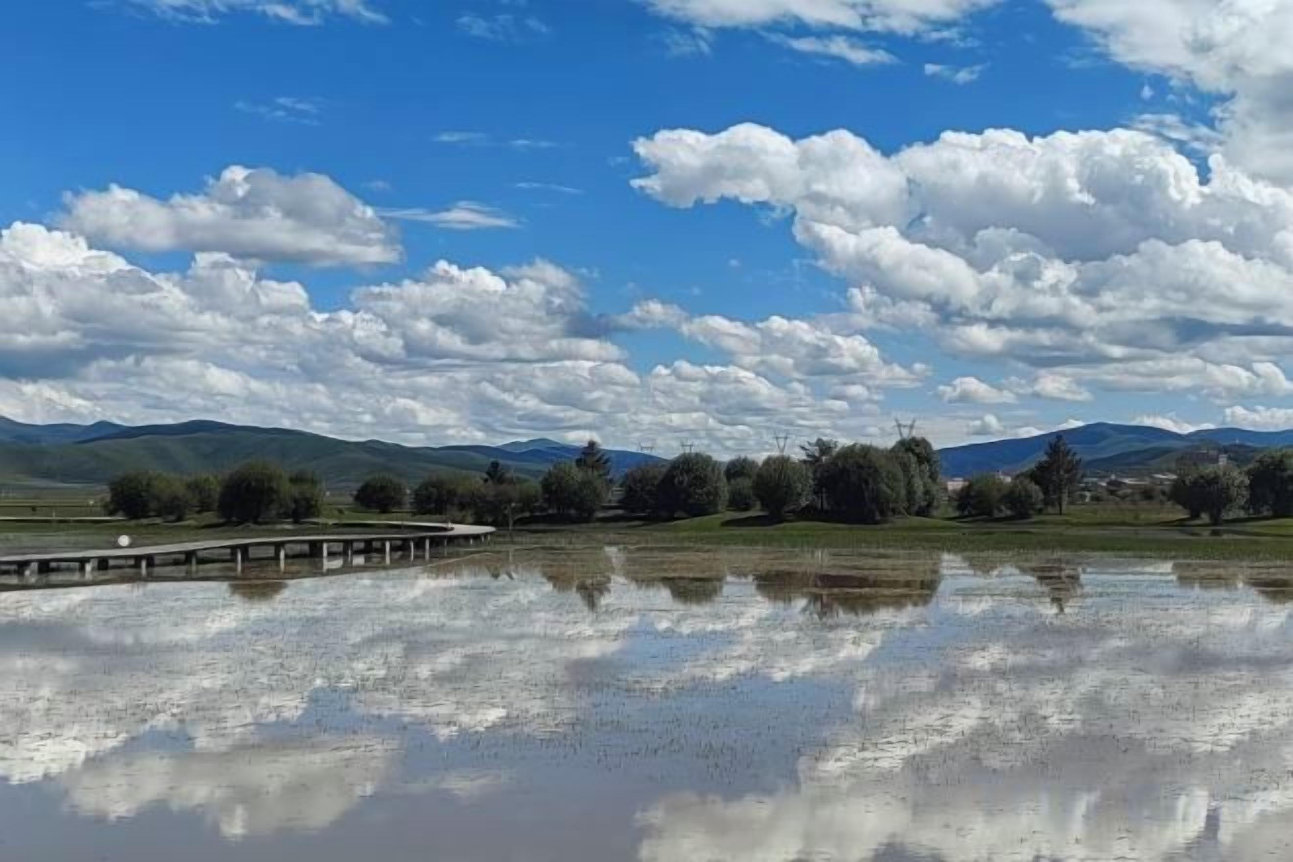 Un lago tranquilo con un muelle de madera y cielo despejado.