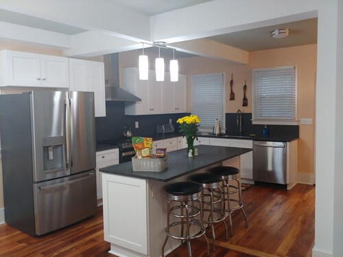 1860 House In the Heart of Downtown