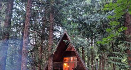 The Little Owl Cabin at Mt. Rainier