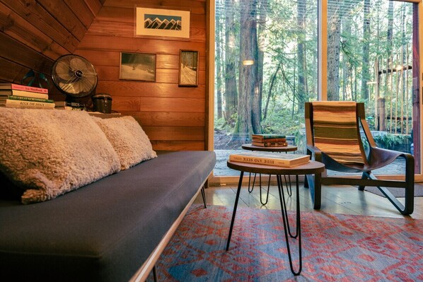 TV, fireplace, books, stereo