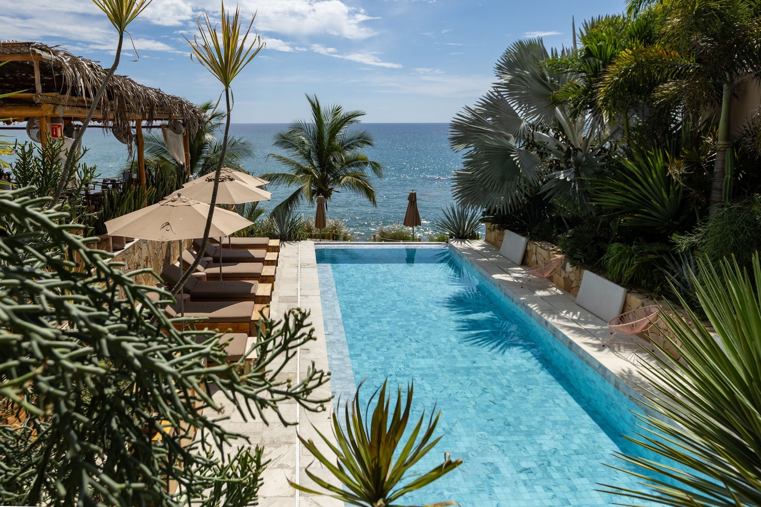 Una piscina con vista despejada al océano, rodeada de palmeras y sillones de descanso.