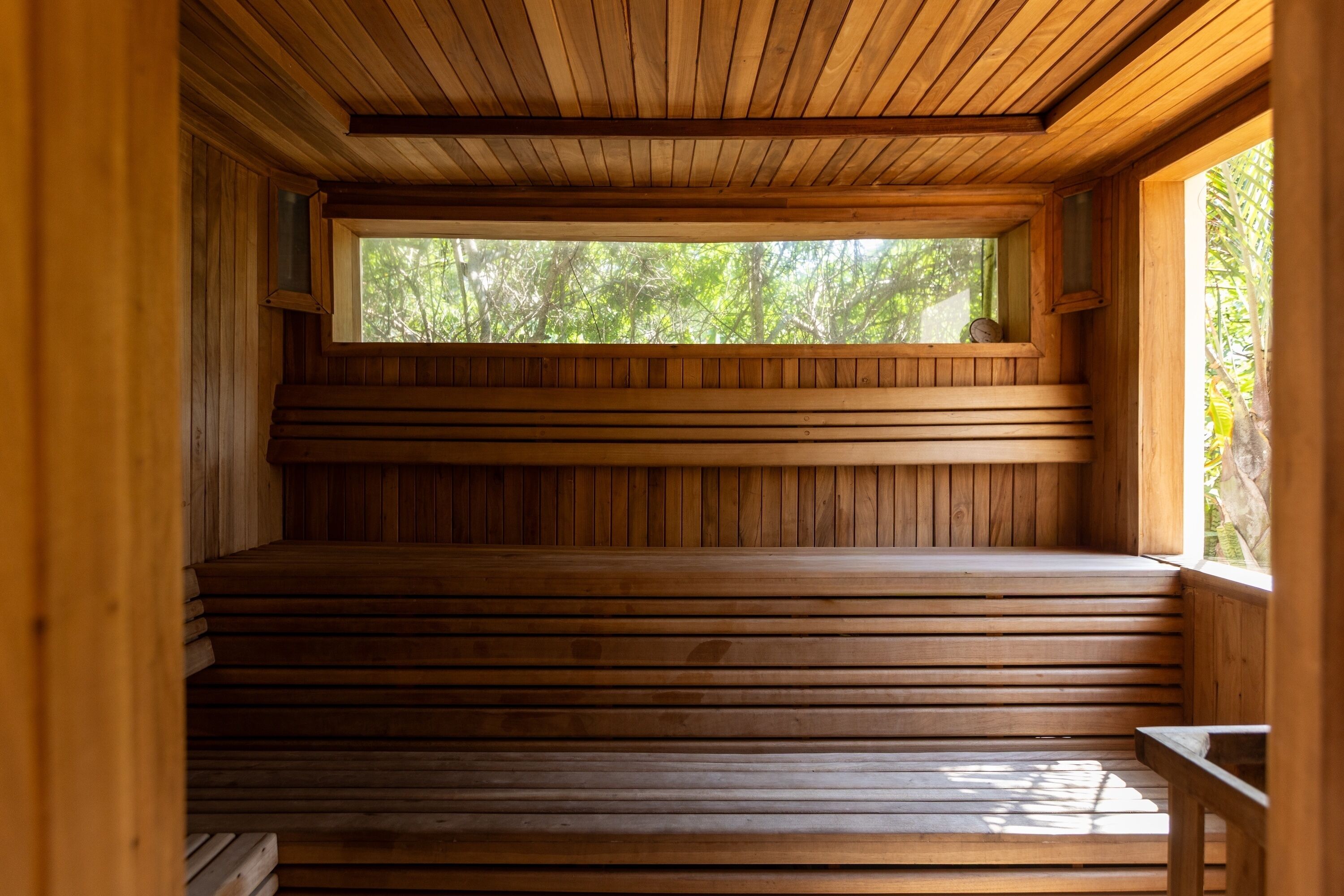 Interior de madera con un banco y ventana con vistas a follaje.