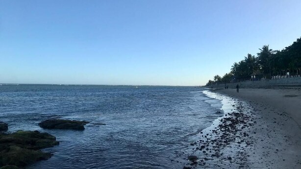 Une plage avec une eau calme, un rivage sablonneux et une rangée d’arbres en arrière-plan.
