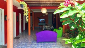 Un couloir avec un canapé violet, des fauteuils verts et des plantes suspendues.