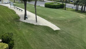 A grassy area with palm trees, a pathway, and a view of the ocean.
