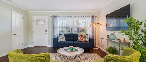 Smart TV, fireplace, books