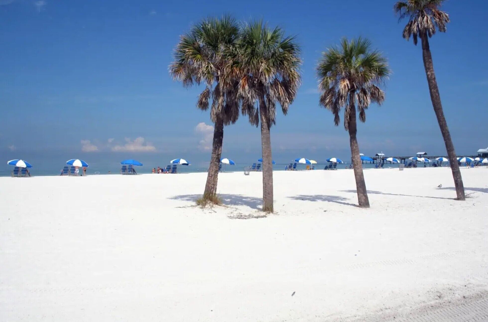 ビーチの近く、サンラウンジャー、ビーチタオル