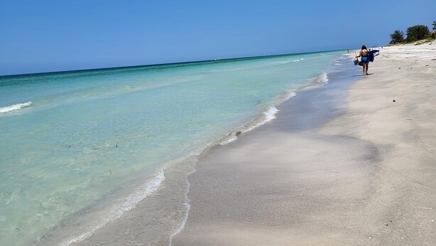 Una playa con aguas turquesas cristalinas y una orilla arenosa.