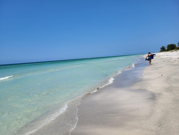 On the beach, sun-loungers - “ Living the Dream “ in our 3 bedroom 3 bathroom beachside condo with pool! (Redington Shores)