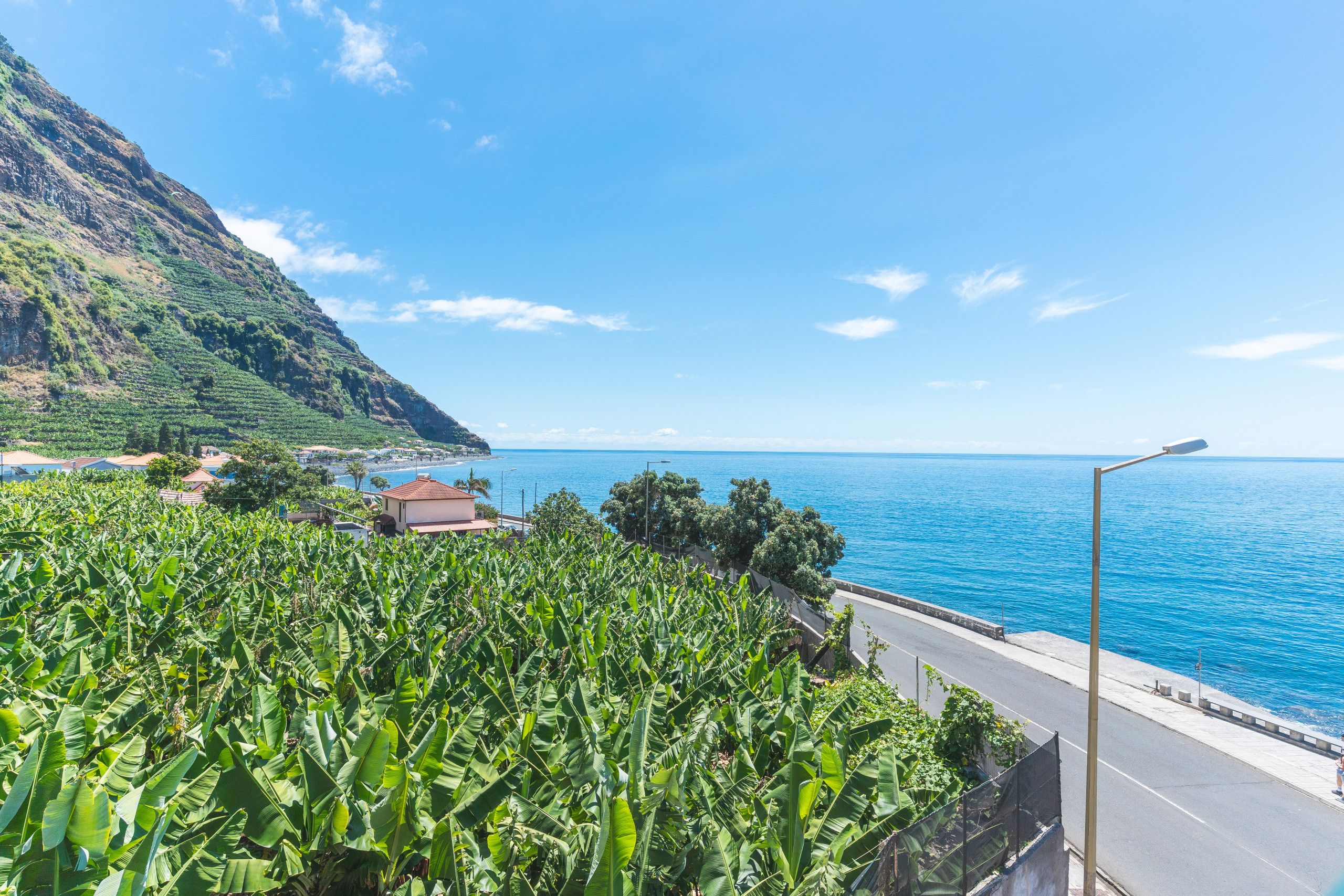 Eine Küstenstraße mit Bananenplantagen, einem klaren blauen Himmel und einer entfernten Meeresansicht.