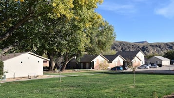 A row of single-story buildings with a grassy area in front, a parking lot, and a mountain in the background.