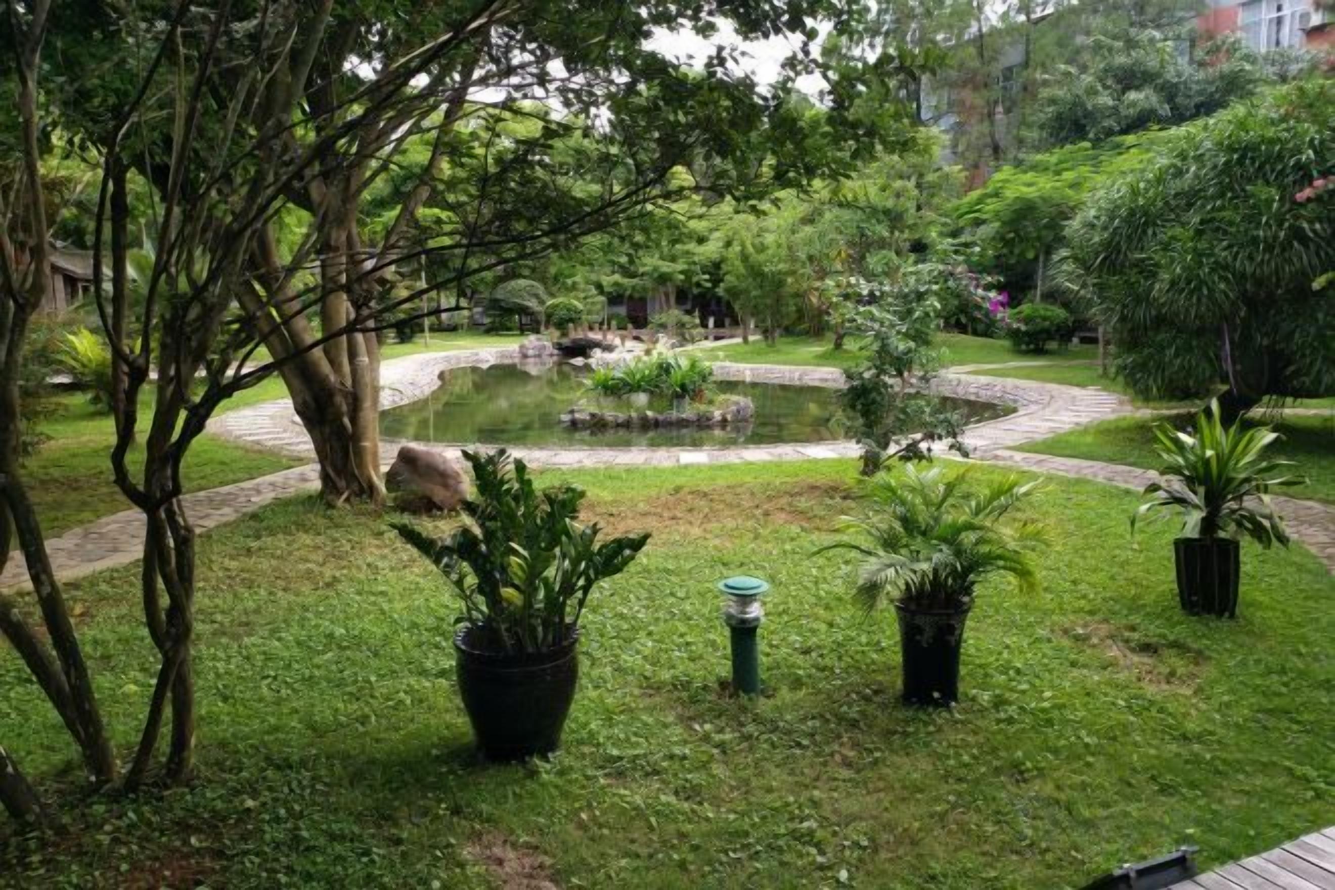 Un jardín con un estanque, plantas en macetas y un camino de ladrillo.