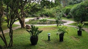 Un jardín con un estanque, plantas en macetas y un camino de ladrillo.