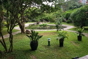 Un jardín con un estanque, plantas en macetas y un camino de ladrillo.