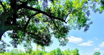 Rejuvenating  Farmhouse, 25 minutes from Myrtle Beach (Pet Friendly)