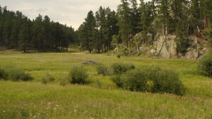 Un paisaje natural con un campo cubierto de hierba, árboles densos y afloramientos rocosos.
