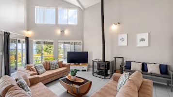 Una televisión, una chimenea