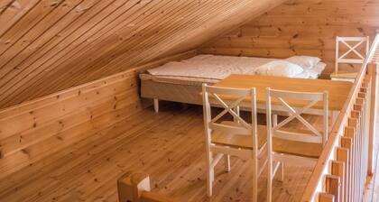 Saana 1 by Interhome