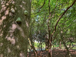 Een boomstam met drie groene, spiraalvormige objecten erop bevestigd.
