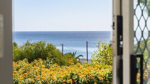 Vista attraverso una finestra con cancello in metallo, cielo sereno, specchio d'acqua e giardino con fiori arancioni.
