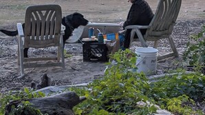 Una persona sentada a una mesa con un perro, al aire libre con vista a un cuerpo de agua y montañas lejanas.