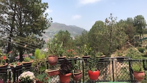 Un balcon agrémenté de plantes en pot et offrant une vue sur un paysage montagneux.